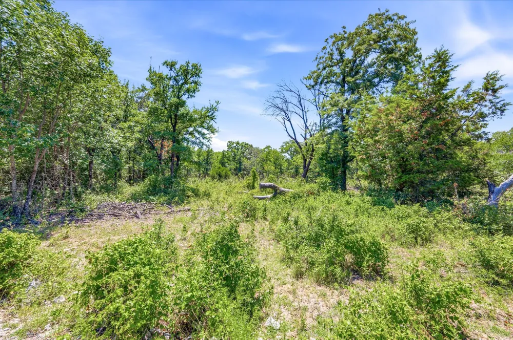 FM 1658 Bridgeport, TX 76426