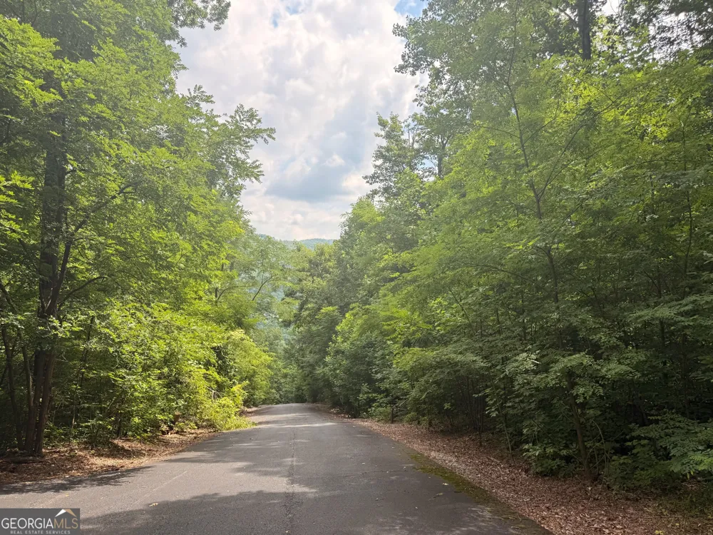 0 Streets of the Overlook at Kingwood Clayton, GA 30525