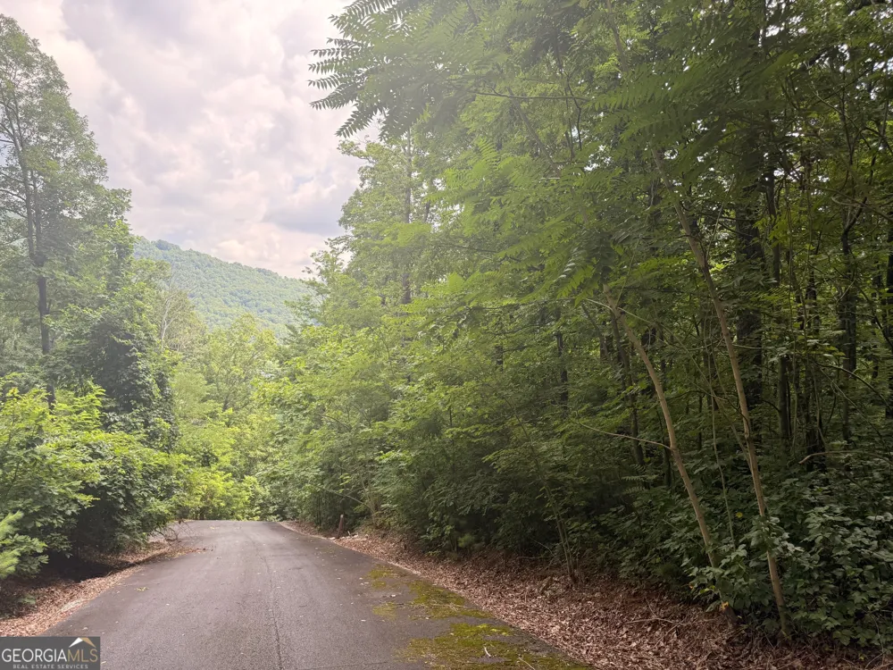 0 Streets of the Overlook at Kingwood Clayton, GA 30525