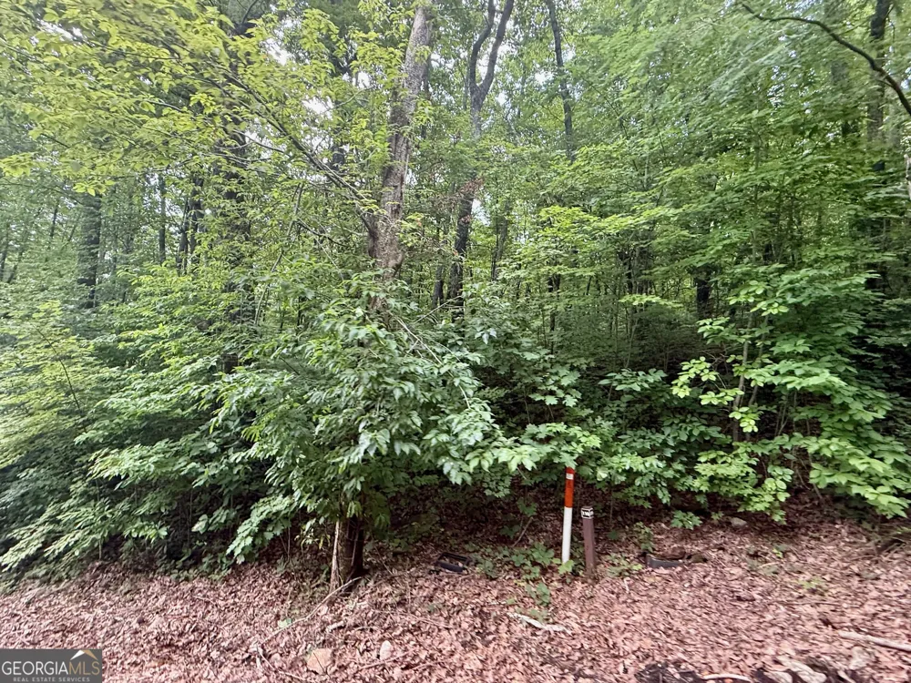 0 Streets of the Overlook at Kingwood Clayton, GA 30525