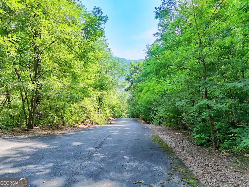 0 Streets of the Overlook at Kingwood Clayton, GA 30525