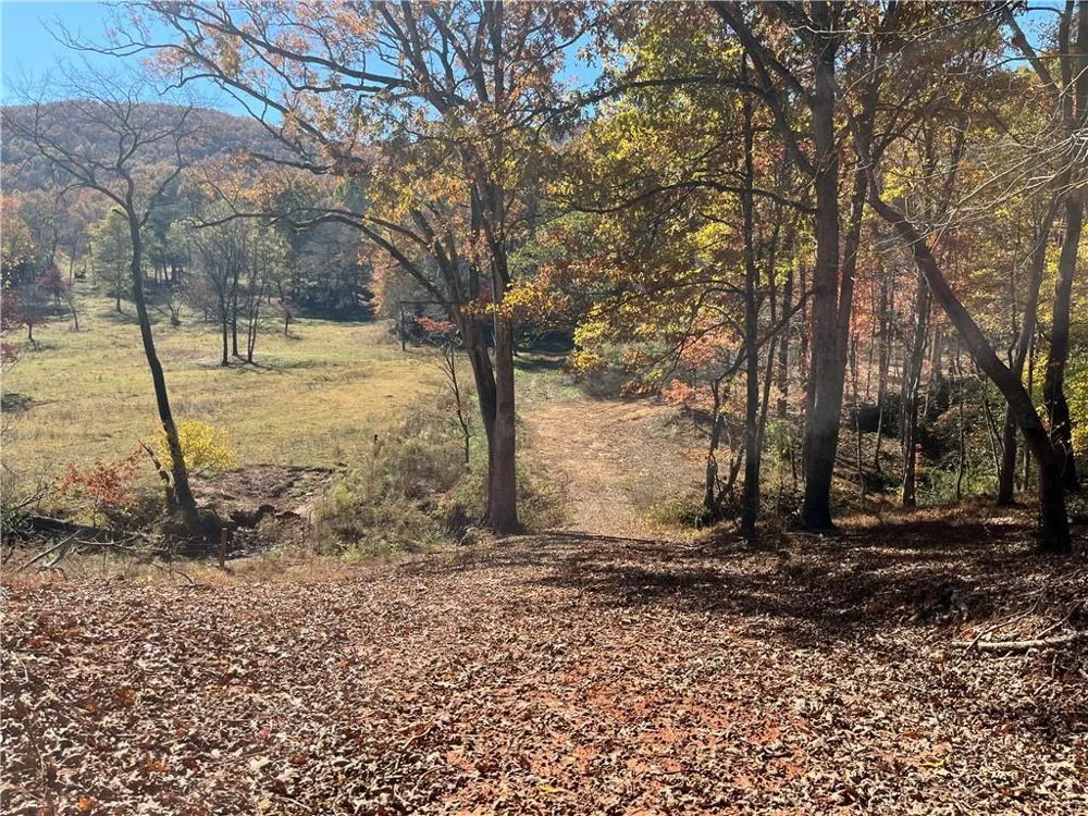 00 Freeman View Trail Cleveland, GA 30528