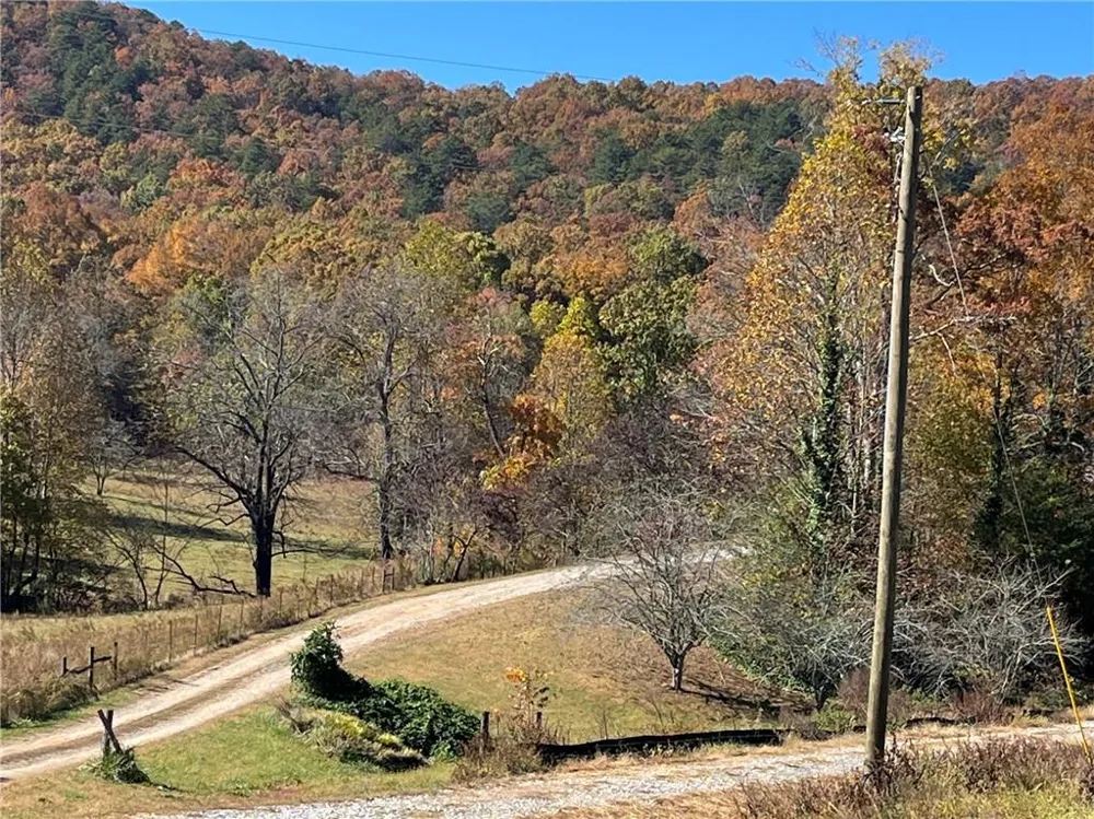 00 Freeman View Trail Cleveland, GA 30528