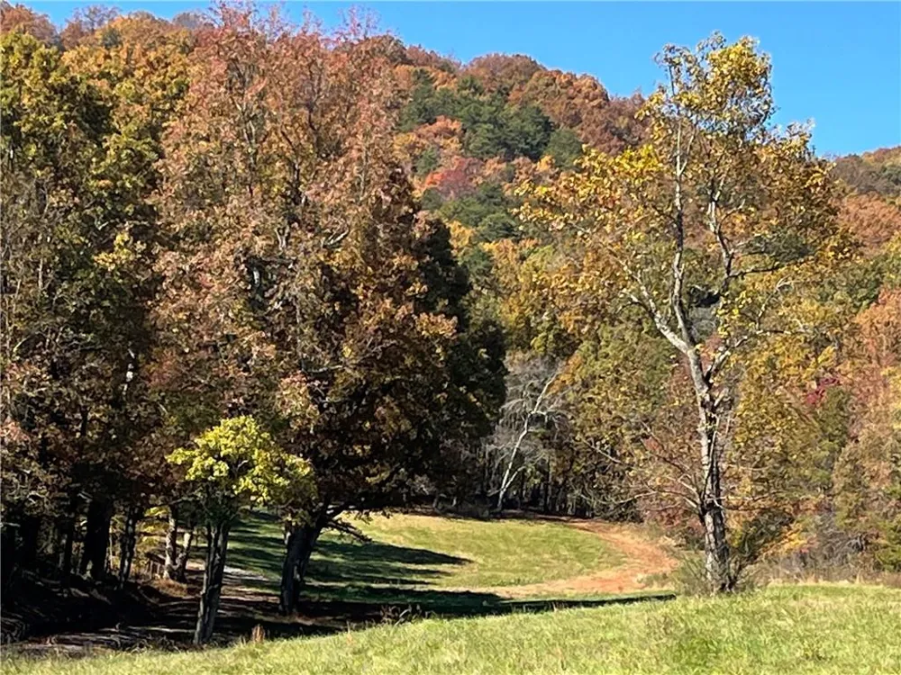 00 Freeman View Trail Cleveland, GA 30528