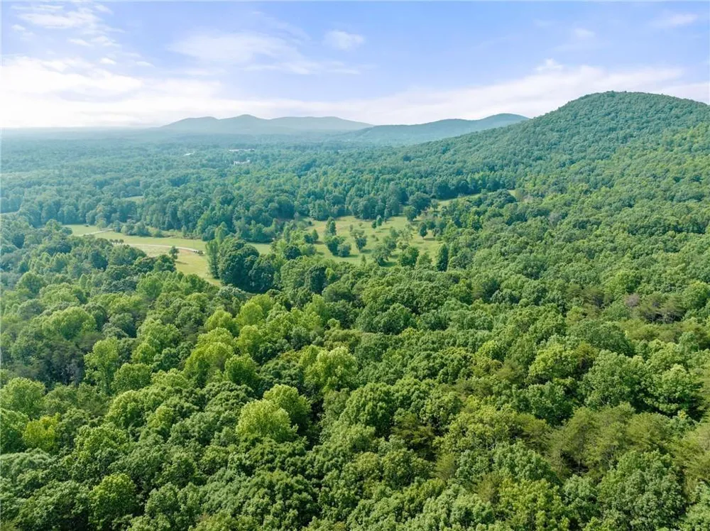 00 Freeman View Trail Cleveland, GA 30528