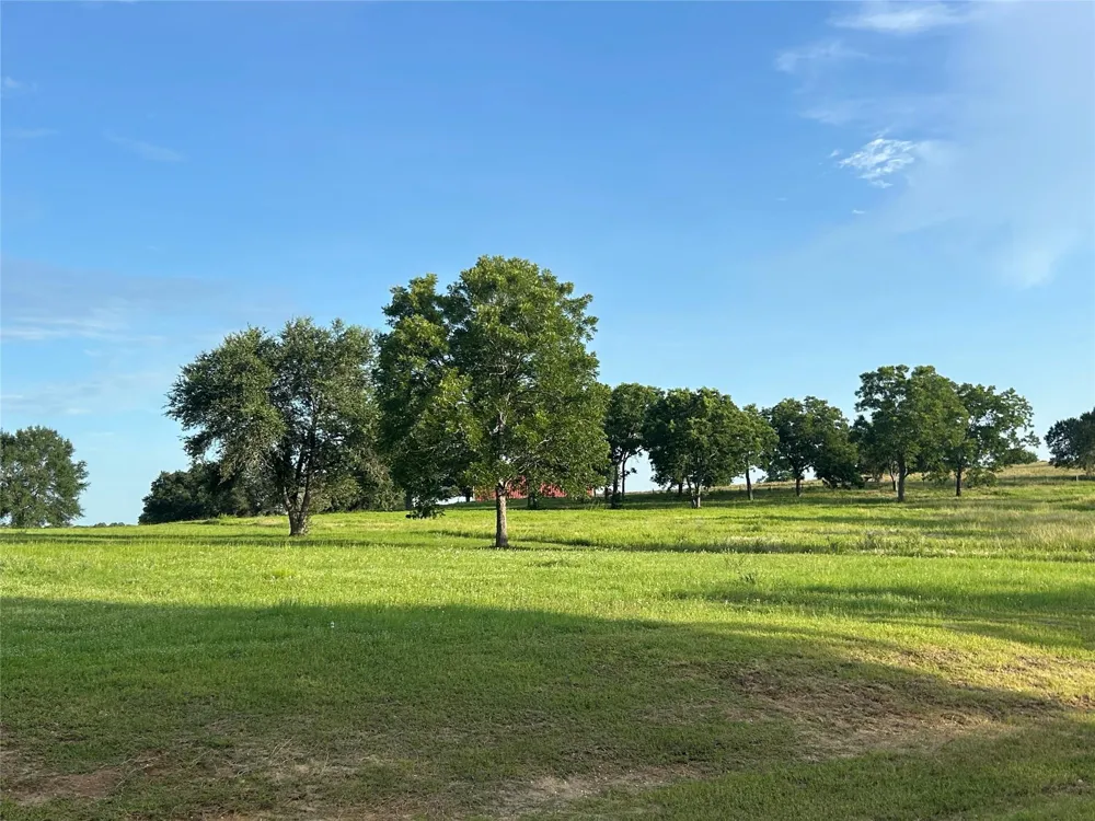 Sunshine Court Chappell Hill, TX 77426