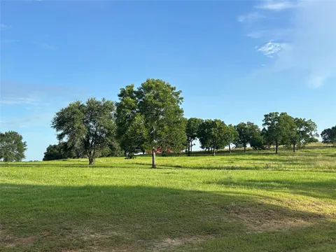 Sunshine Court