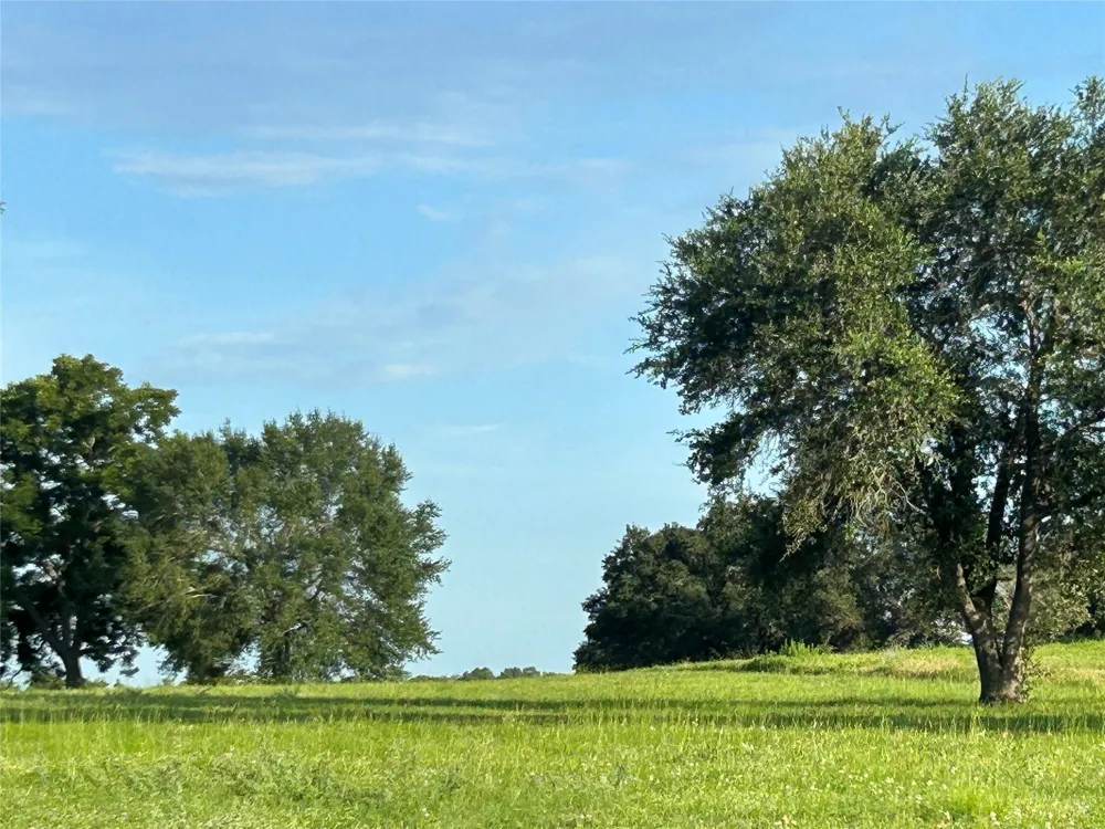 Sunshine Court Chappell Hill, TX 77426
