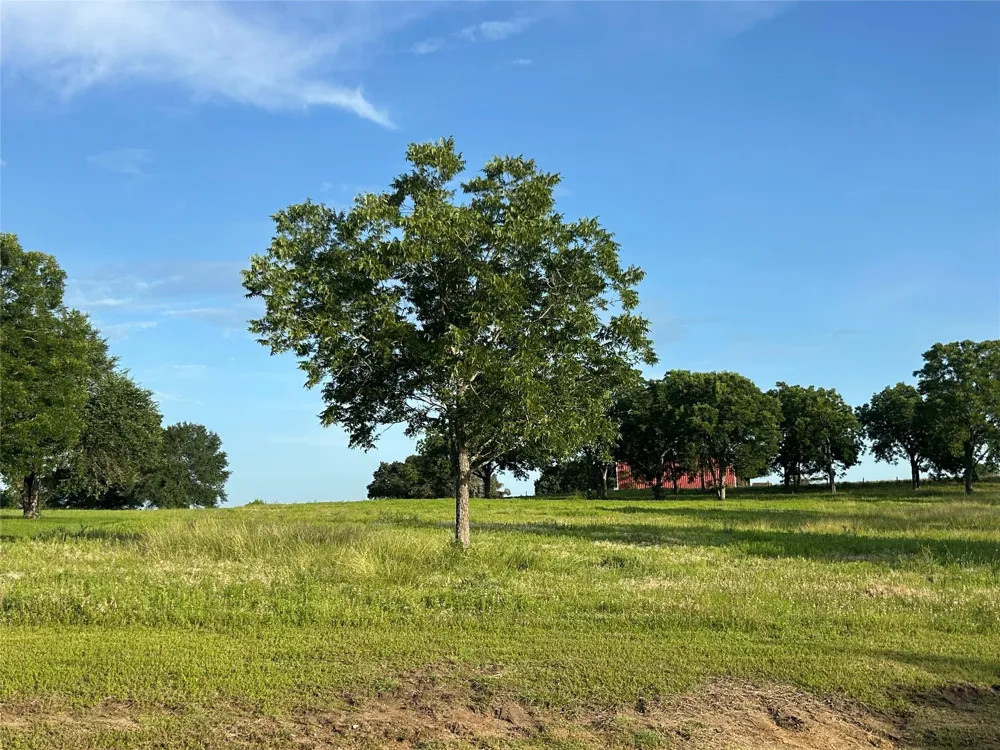 Sunshine Court Chappell Hill, TX 77426