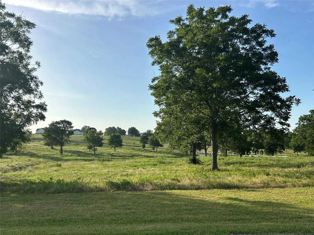 Sunshine Court Chappell Hill, TX 77426