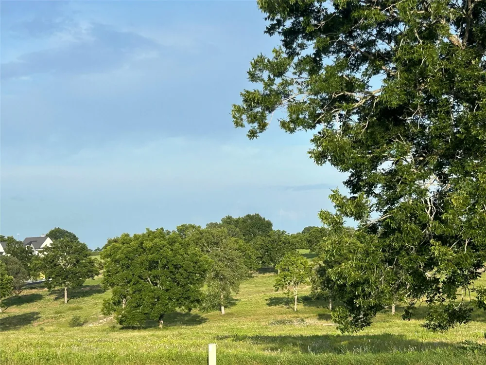 Sunshine Court Chappell Hill, TX 77426