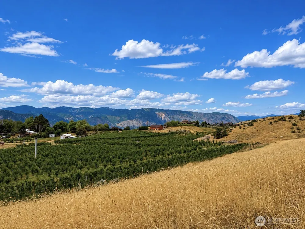 0 Boyd Road Chelan, WA 98816