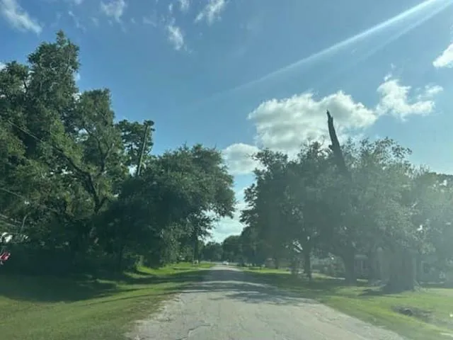 103 Birch Street Wallis, TX 77485