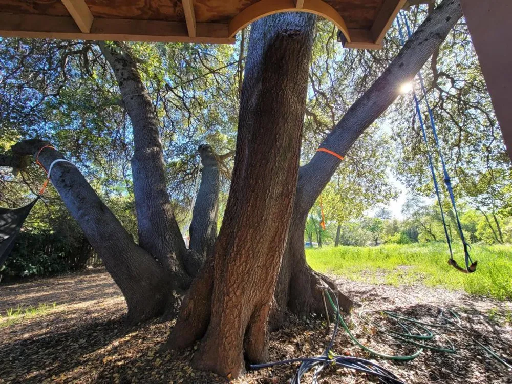 1025 Via Treviso El Dorado Hills, CA 95762