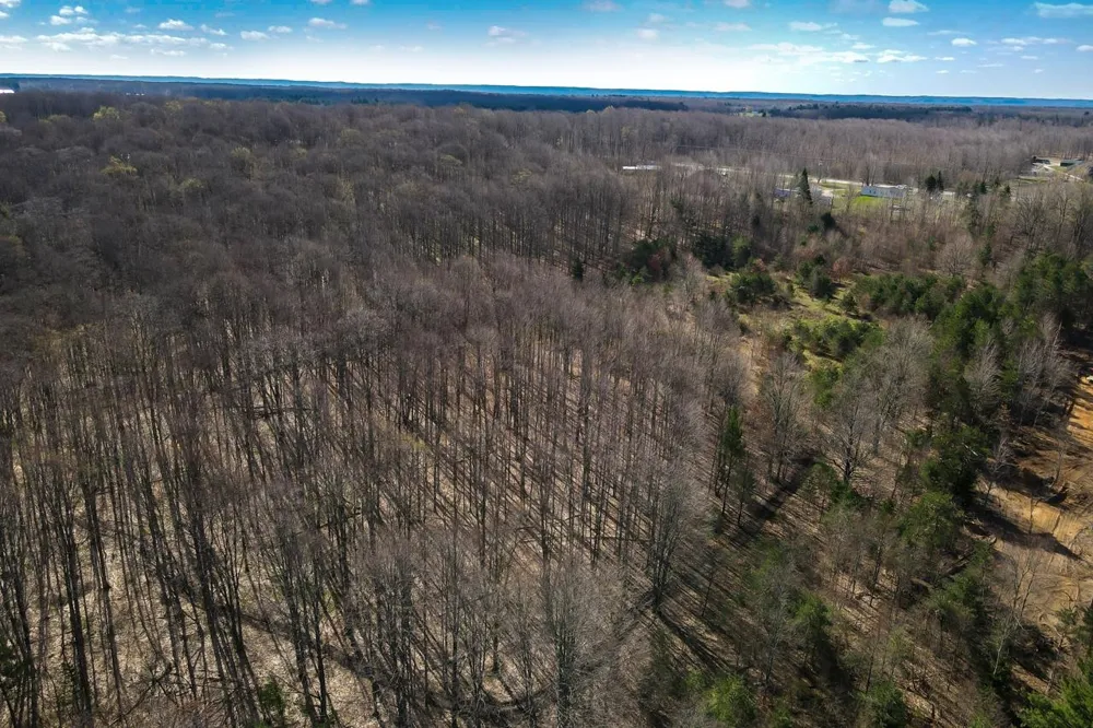 Honor Highway Inland Township, MI 49643