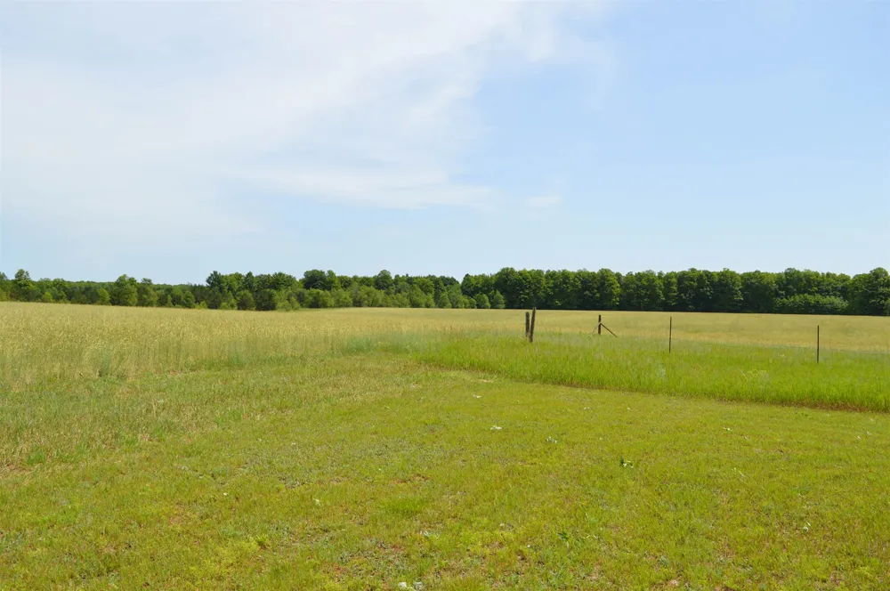 6268 E M-72 Excelsior Township, MI 49646