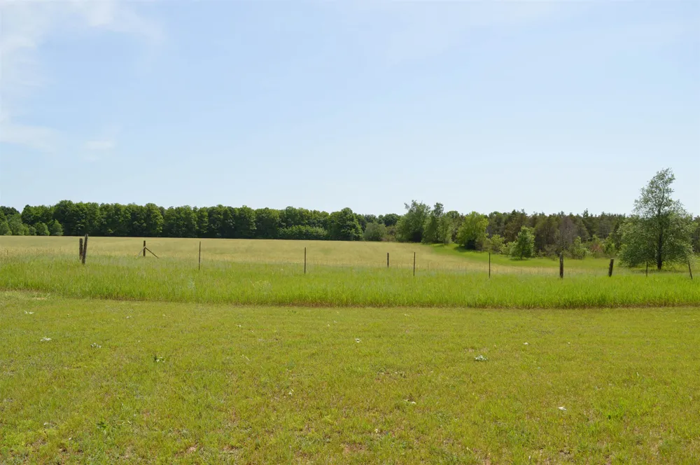 6268 E M-72 Excelsior Township, MI 49646