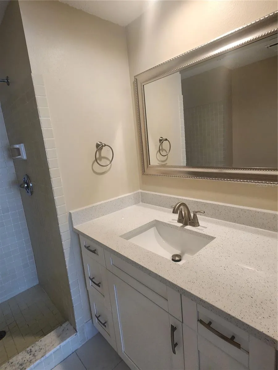 209 CORKWOOD LN Oldsmar, FL 34677