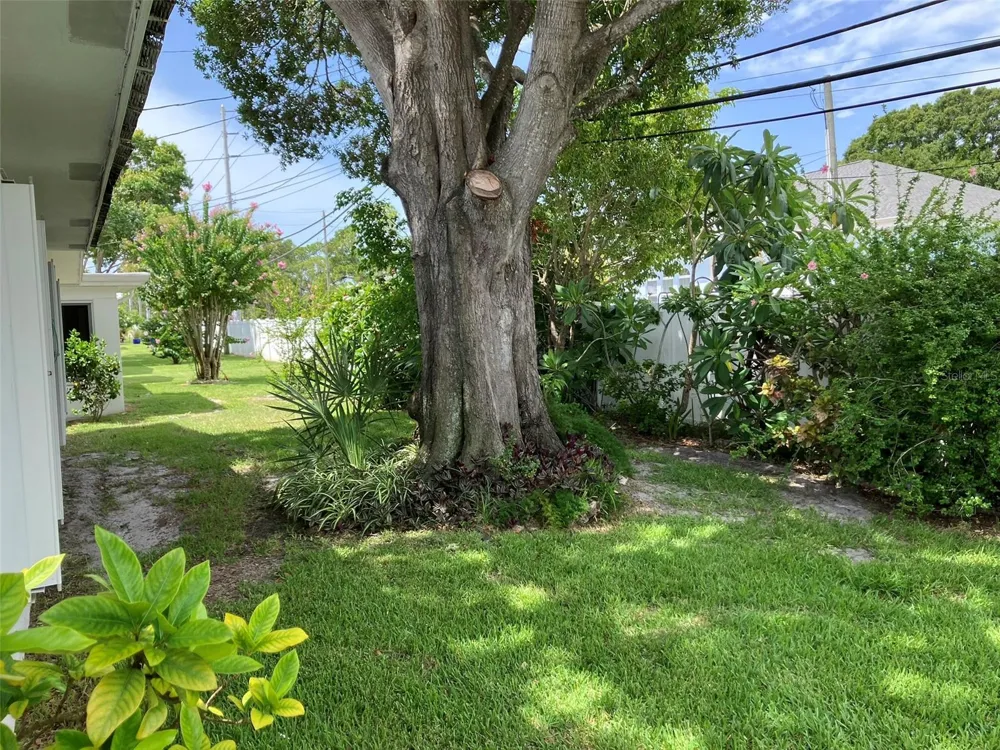 10186 45TH WAY Pinellas Park, FL 33782