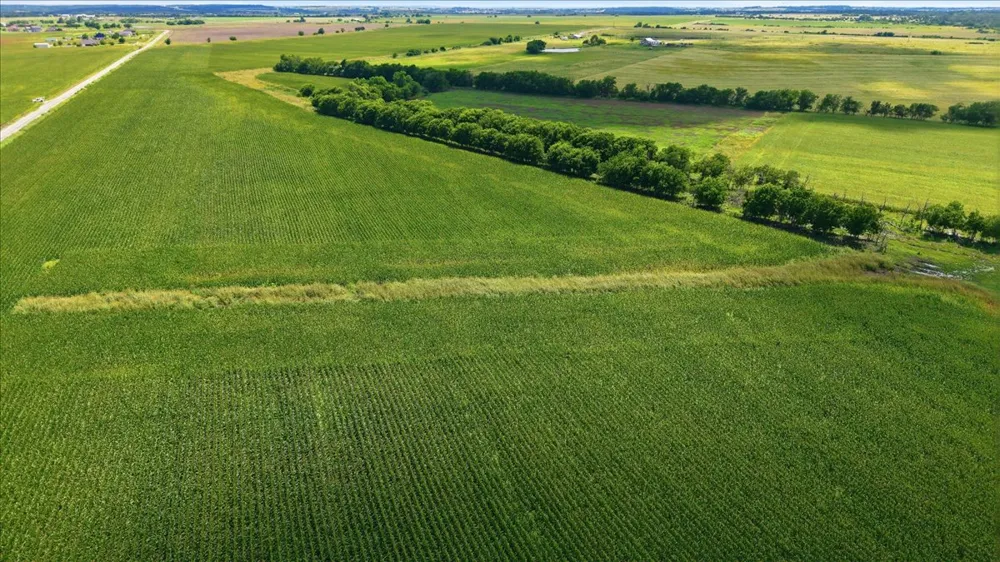 CR 319 Granger, TX 76530