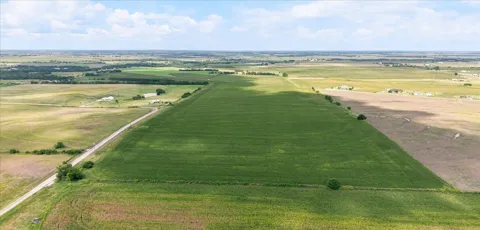 CR 319