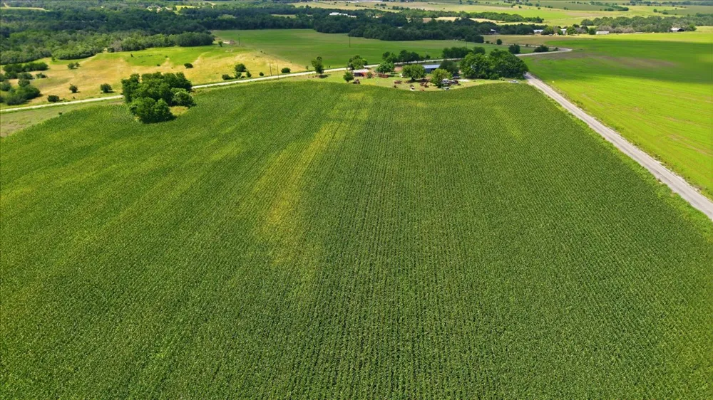 CR 319 Granger, TX 76530