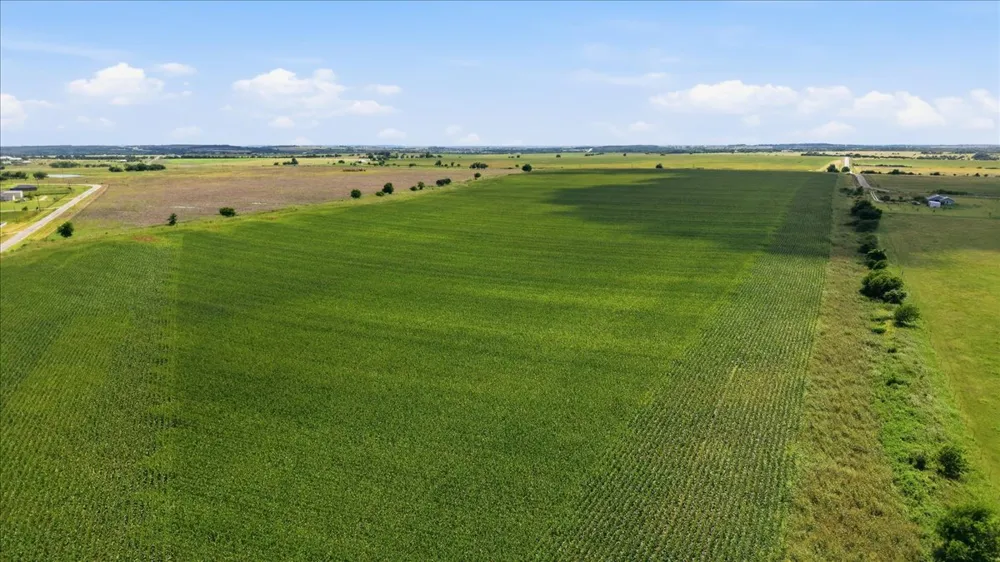 CR 319 Granger, TX 76530