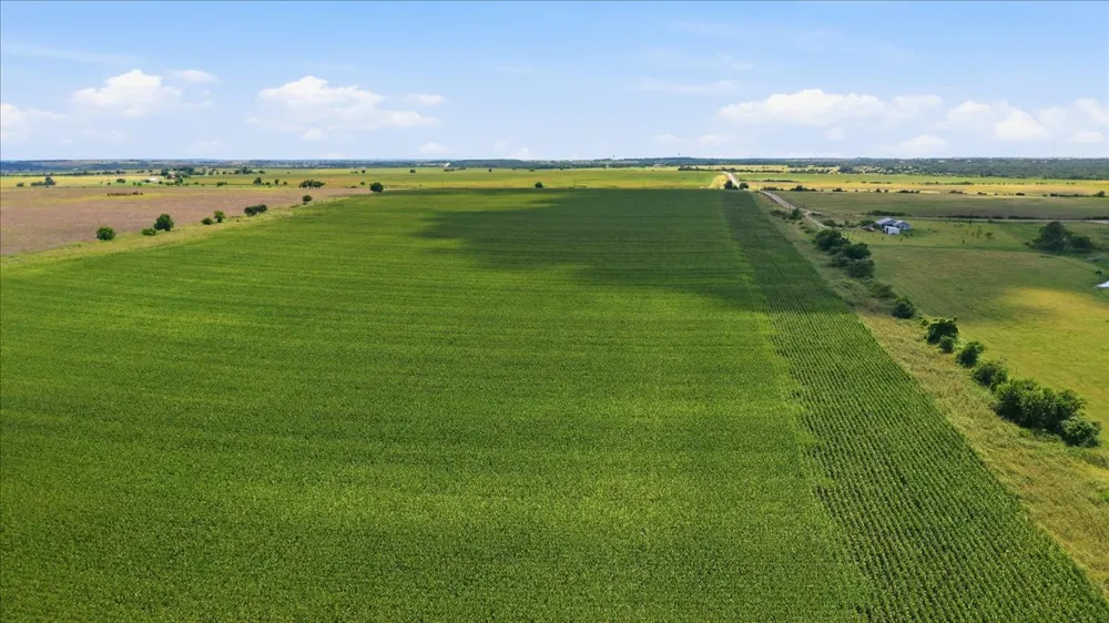 CR 319 Granger, TX 76530