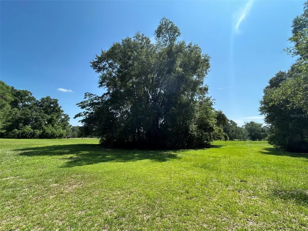 1119 SW 143RD STREET Newberry, FL 32669