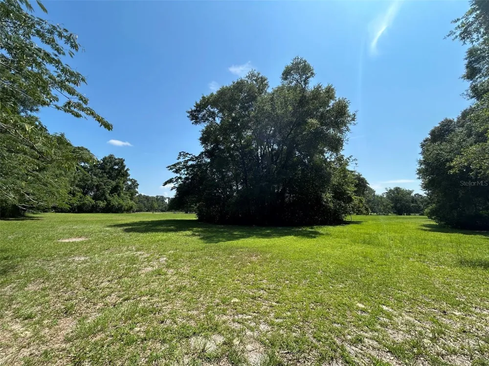 1119 SW 143RD STREET Newberry, FL 32669