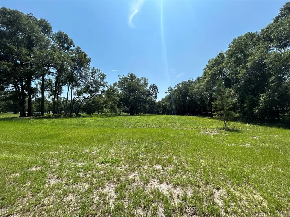 1119 SW 143RD STREET Newberry, FL 32669