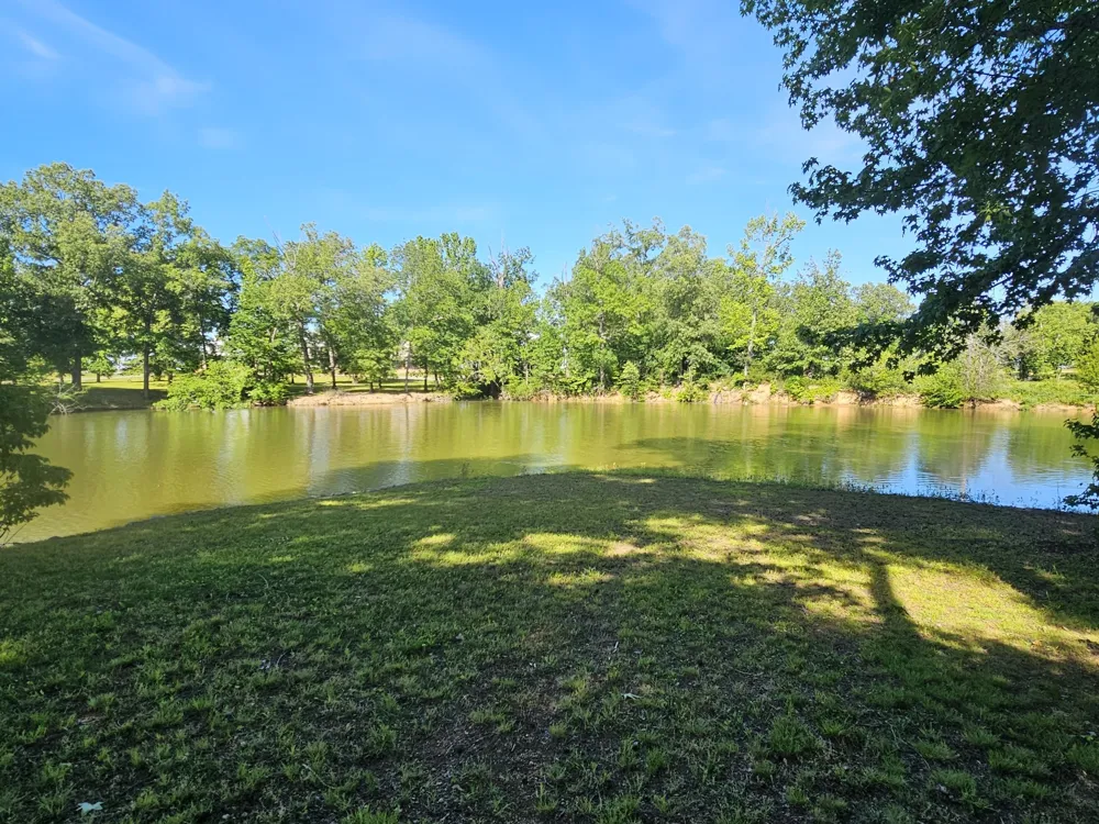 261 Lakeview Dr Bath Springs, TN 38311