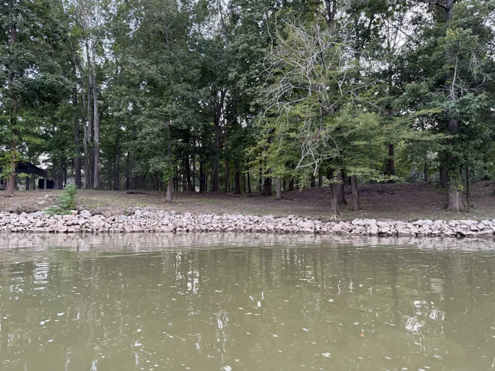 261 Lakeview Dr Bath Springs, TN 38311
