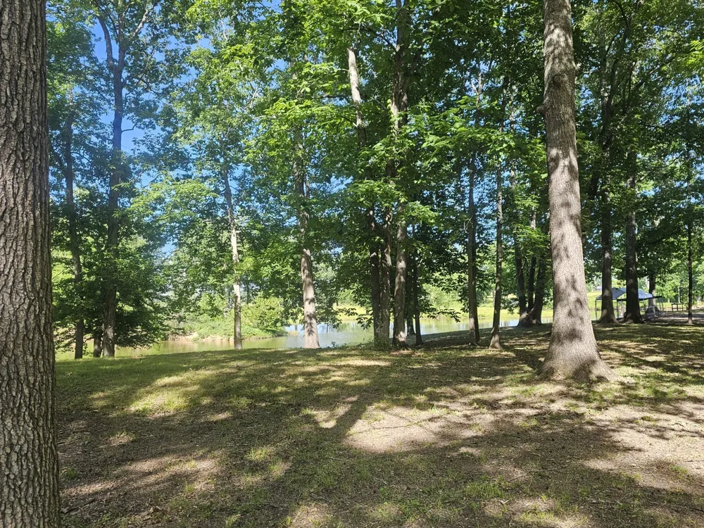 261 Lakeview Dr Bath Springs, TN 38311