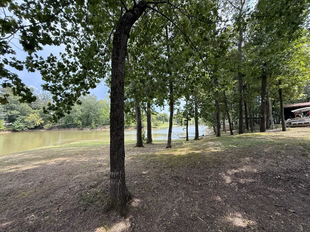 261 Lakeview Dr Bath Springs, TN 38311