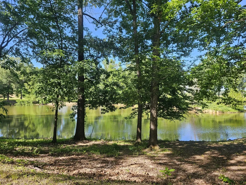 261 Lakeview Dr Bath Springs, TN 38311