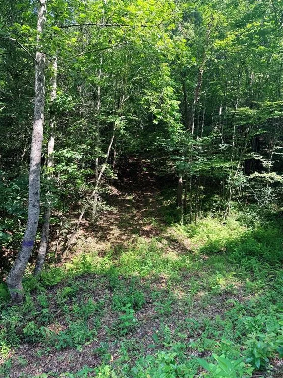Lot 23 Green Pasture Lane Ferguson, NC 28624