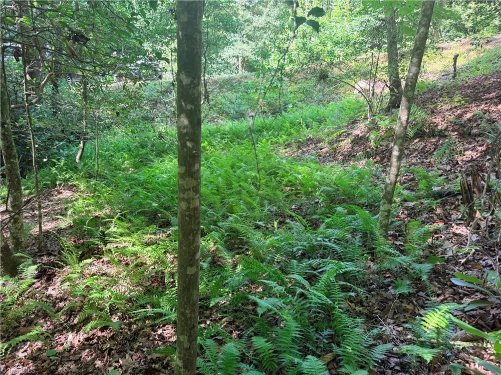 Lot 23 Green Pasture Lane Ferguson, NC 28624