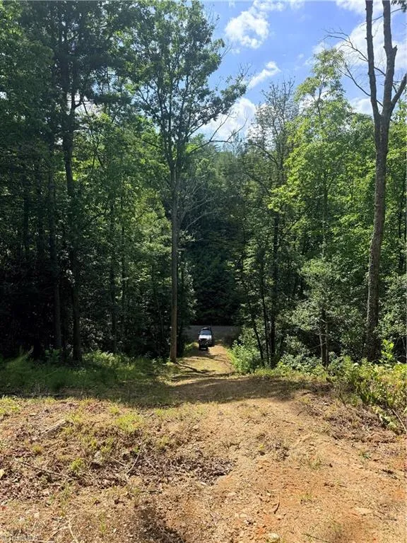 Lot 23 Green Pasture Lane Ferguson, NC 28624