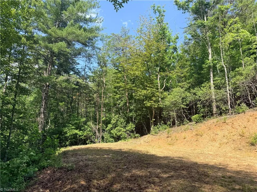 Lot 23 Green Pasture Lane Ferguson, NC 28624