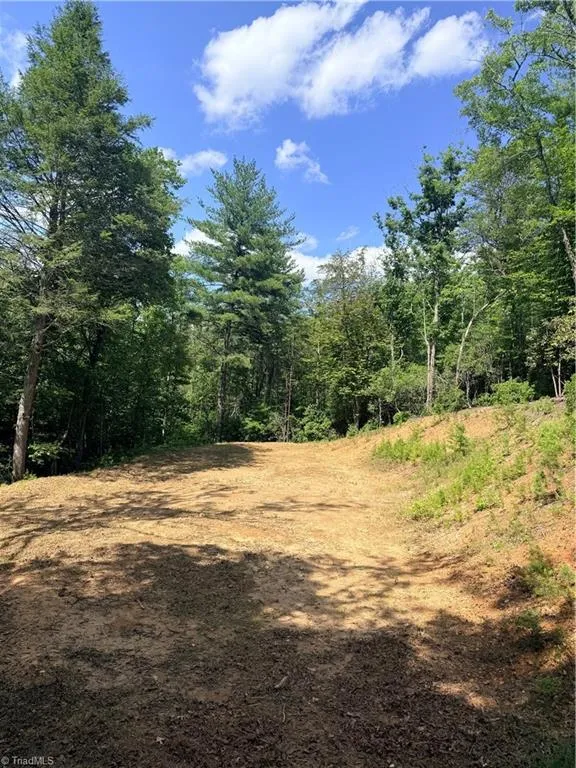 Lot 23 Green Pasture Lane Ferguson, NC 28624