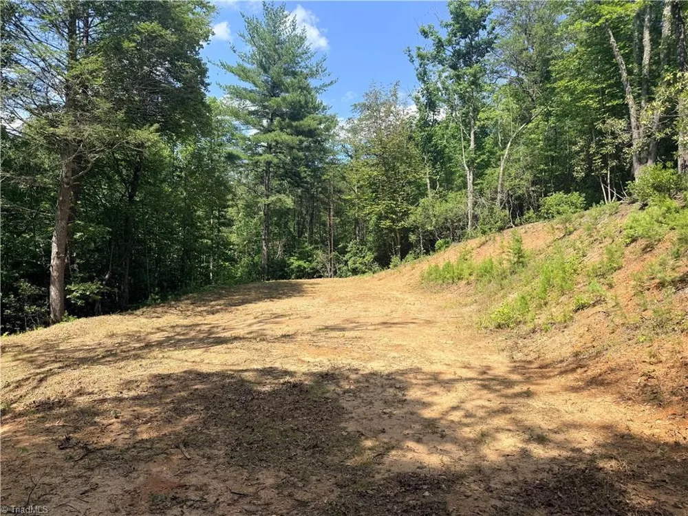 Lot 23 Green Pasture Lane Ferguson, NC 28624