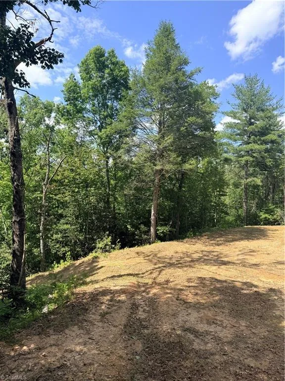 Lot 23 Green Pasture Lane Ferguson, NC 28624