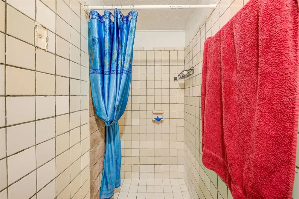 2318 W POWHATAN AVENUE Tampa, FL 33603