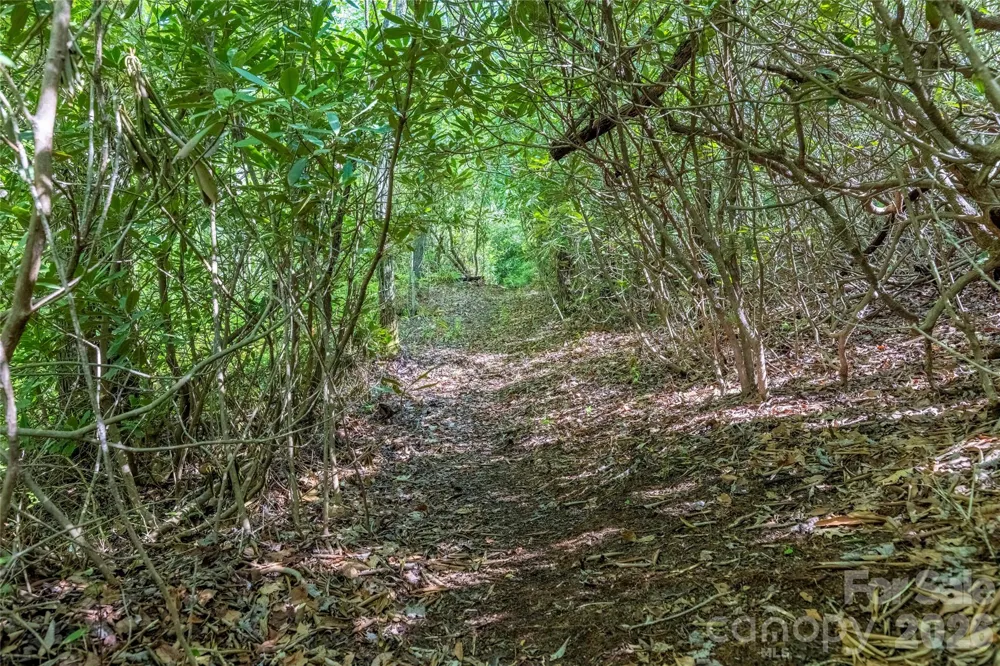 TBD Long Ridge Road Lake Toxaway, NC 28747