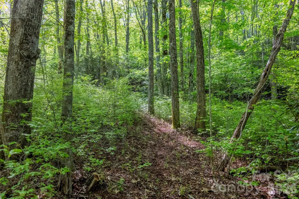TBD Long Ridge Road Lake Toxaway, NC 28747