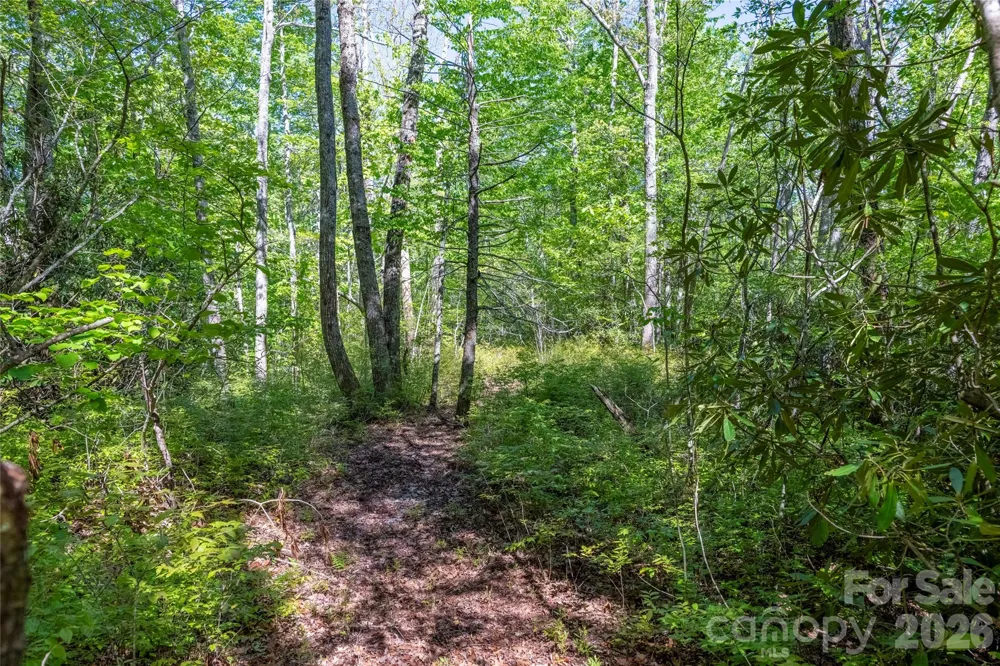 TBD Long Ridge Road Lake Toxaway, NC 28747
