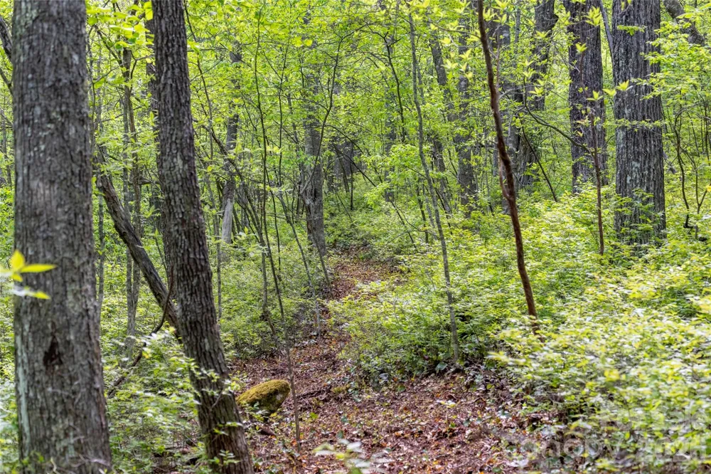 TBD Long Ridge Road Lake Toxaway, NC 28747