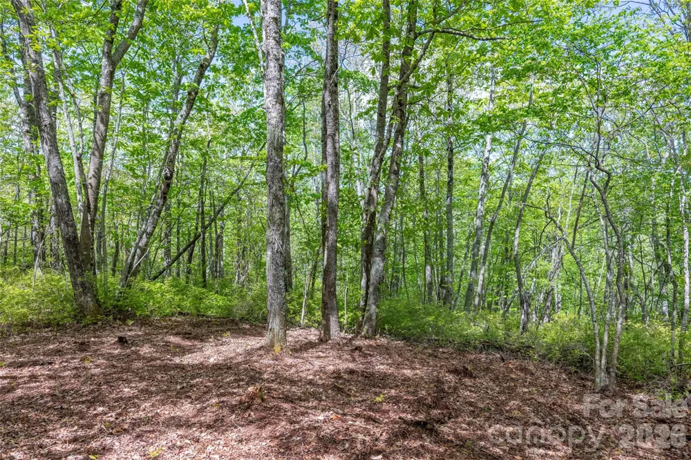 TBD Long Ridge Road Lake Toxaway, NC 28747
