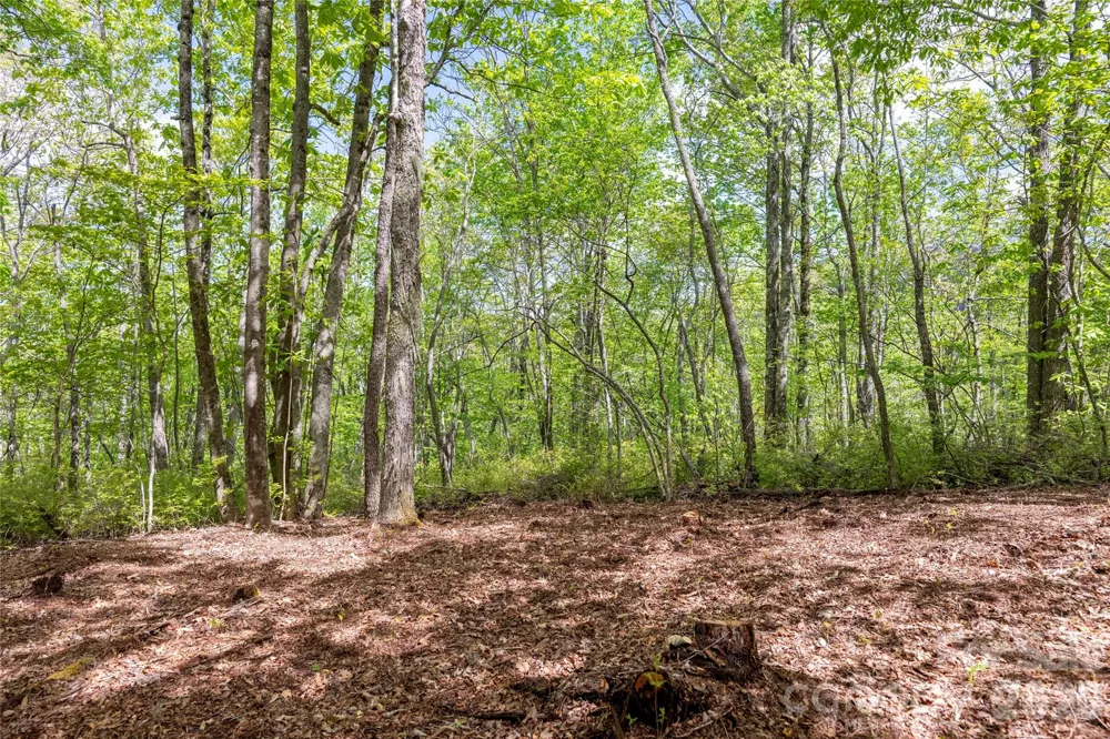 TBD Long Ridge Road Lake Toxaway, NC 28747